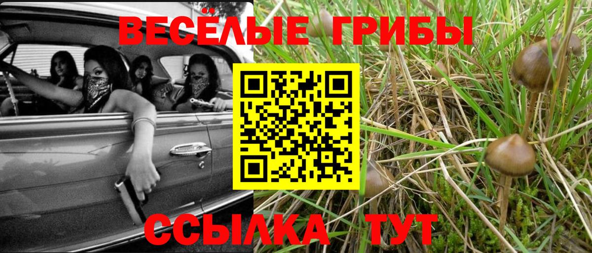 МЕТАМФЕТАМИН  ТГК  Артём  Вход с VPN  Канабис  Cocaine  Гашиш  Где купить  Гашиш  Меф МЯУ МЯУ кристаллы  Меф 