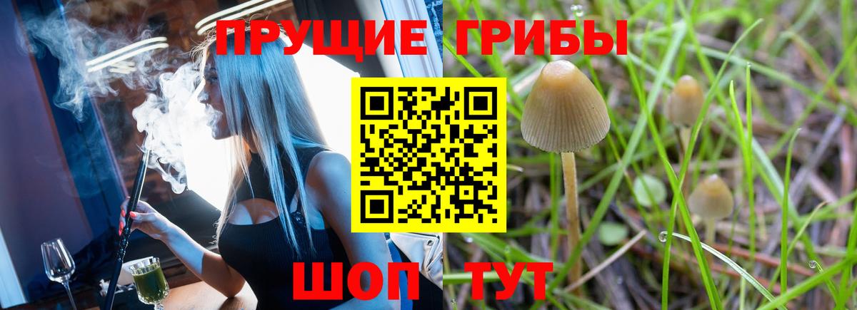 Артём  Галлюциногенные грибы GOLDEN TEACHER  Галлюциногенные грибы ЛСД  Вход с VPN 